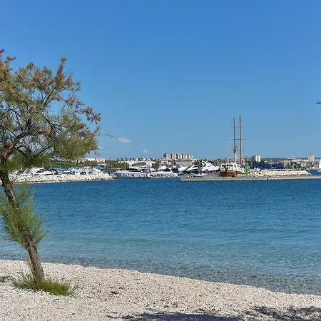Marta Daire Zadar