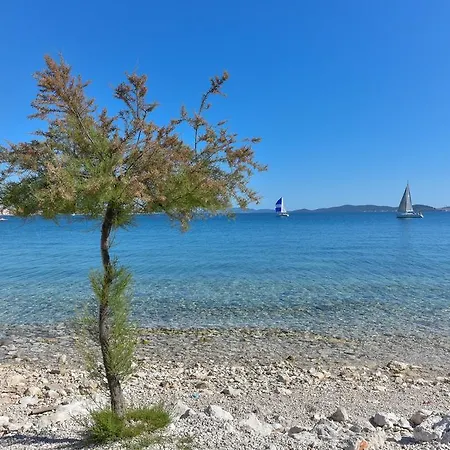 Daire Marta Zadar
